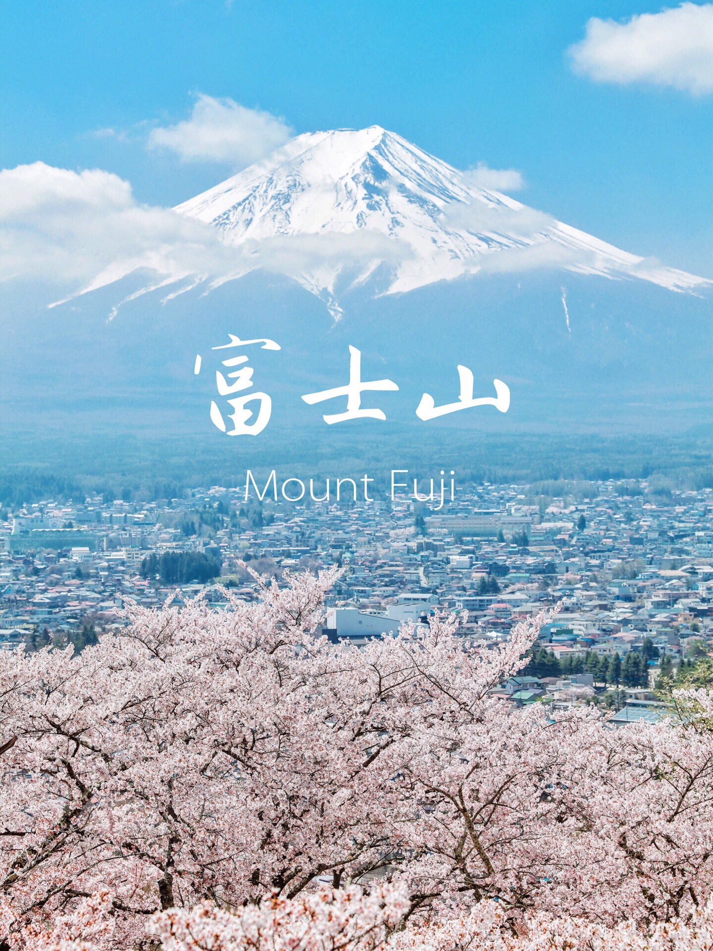 Japan Mt. Fuji | Kawaguchiko 3 | Trip.com Fujikawaguchiko