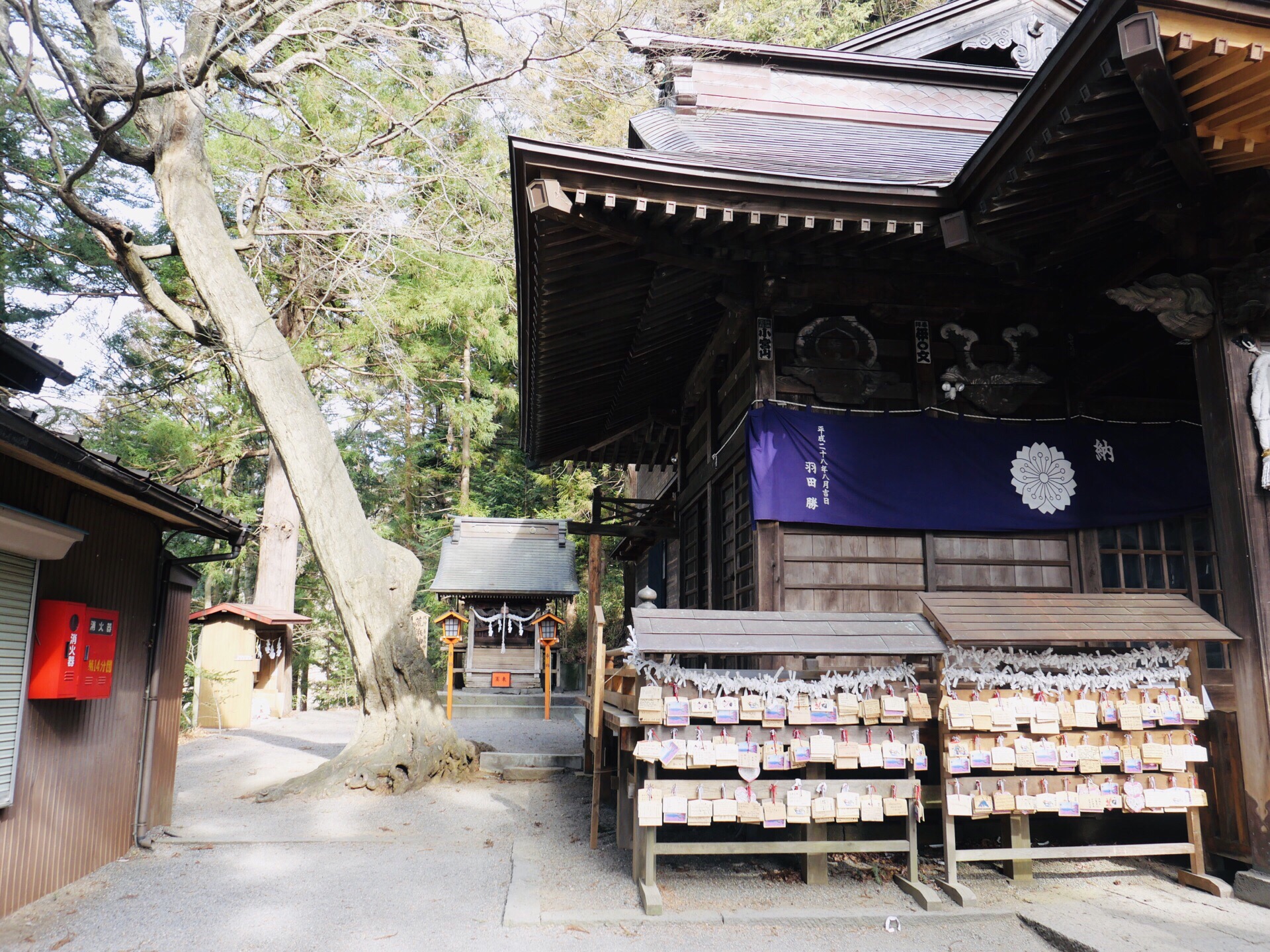 The five-storied pagoda and Mt | Trip.com Mount Fuji