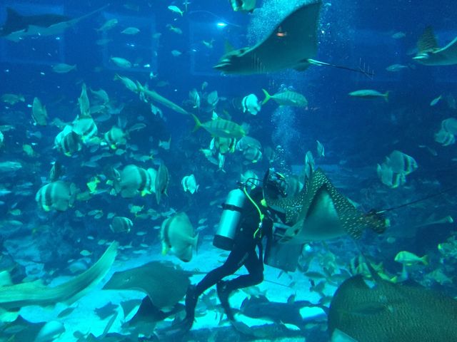 [싱가폴] S.E.A 아쿠아리움  🐠
