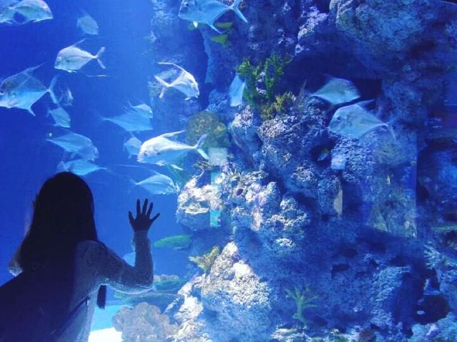 [싱가폴] S.E.A 아쿠아리움  🐠