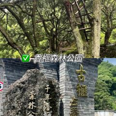 诸暨正宗次坞打面(人民西路店) User Photo