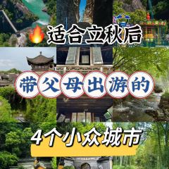 飞茑集樢咖啡 User Photo