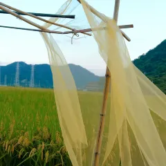 一尺稻田咖啡 User Photo