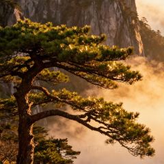 靈山酒釀張用戶圖片