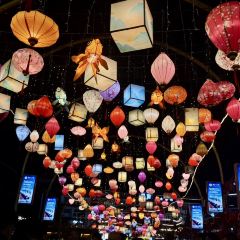 一尺稻田咖啡 User Photo