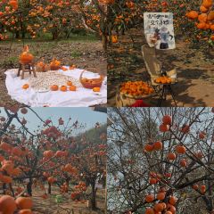 瑶乡饭店 여행 사진