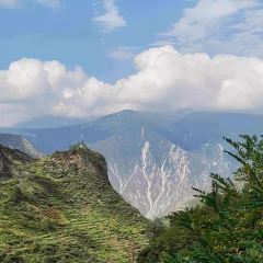 QIANG GU XIAO CHI User Photo