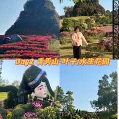 甘家界檸檬鴨(春暉店)張用戶圖片