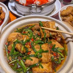 TONG NIAN LAO NAN CHANG User Photo