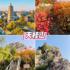 白家缸炉烧饼 User Photo