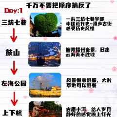 王莊阿咪大牌檔 （省體店）張用戶圖片