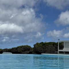 Cucina / Hyatt Regency Seragaki Island Okinawa User Photo