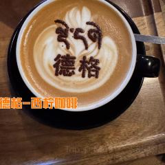 西柠咖啡 User Photo