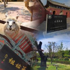 穆彦华逍遥镇胡辣汤(岗坡路店) 여행 사진