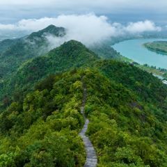 老媽生態餐廳張用戶圖片