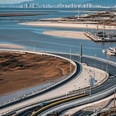 王莊阿咪大牌檔 （省體店）張用戶圖片