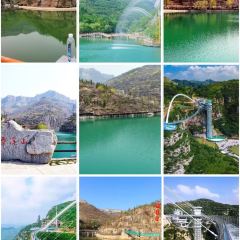 WEIDAOJIA MAMACAI User Photo