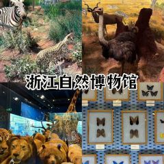 LAO TAI PO FAN DIAN 여행 사진