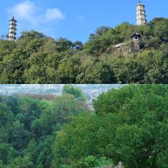 王天顺海苔饼 User Photo