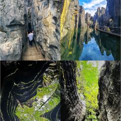 板桥陈记老燕凉卷粉 User Photo