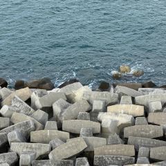 BZK·SEAFOOD User Photo