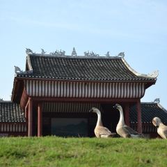 甘家界檸檬鴨(春暉店)張用戶圖片