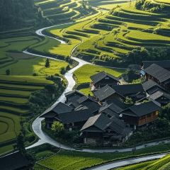 Dan's Crispy Duck User Photo