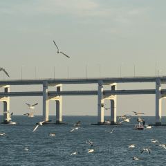 SEAF0OD MASTER User Photo