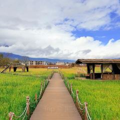 Kuiran Snow Mountain Treehouse Coffee User Photo