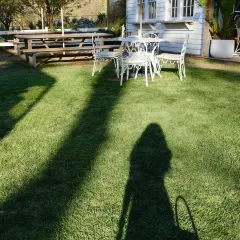 RABBIT HOLE User Photo