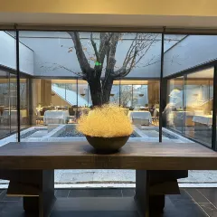 XINJIN TAO 여행 사진