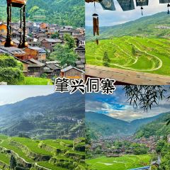 一尺稻田咖啡 여행 사진