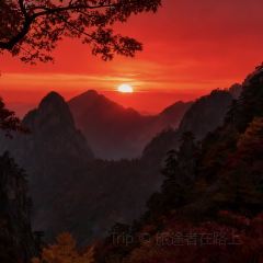 秀嫂挞粿 User Photo