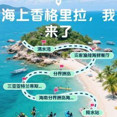 dan jia yu pai User Photo