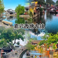 灵山酒酿 User Photo