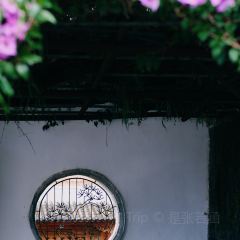 椿野咖啡馆(和顺店) User Photo