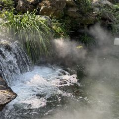 JUBILEE GARDEN User Photo