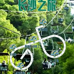 糖油粑粑攤張用戶圖片