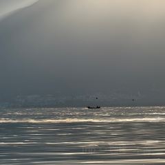 大理安汋海景酒店·餐厅 User Photo