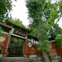 XIANG WEI CUN GU CHANG CAI User Photo