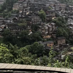 猪圈咖啡屋 User Photo