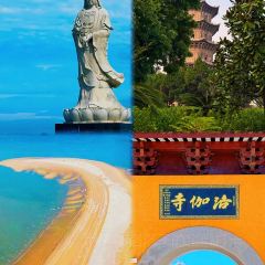张林阿山姜母鸭(泉州新华北路店) 여행 사진
