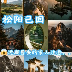 飞茑集樢咖啡 User Photo