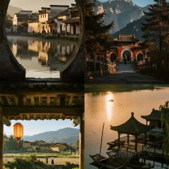 飞茑集樢咖啡 User Photo