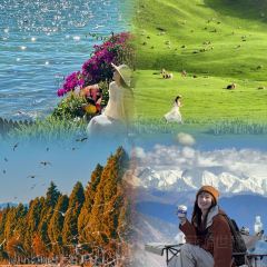 AI SHANG JUN User Photo