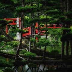 XIAO BEI JIANG HE XIAN User Photo