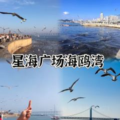 SEAF0OD MASTER User Photo