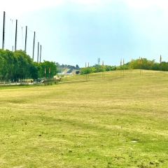 杨氏豆花 User Photo