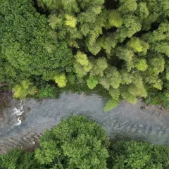 翠翠油茶坊(灵川店) User Photo