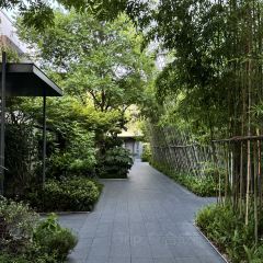The Grove User Photo